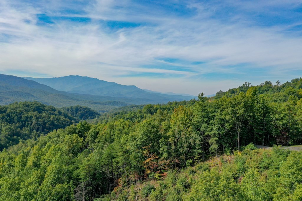 0 Old Field Ridge Way Gatlinburg, TN 37738 - Photo 10 of 14 Gallery Image 10