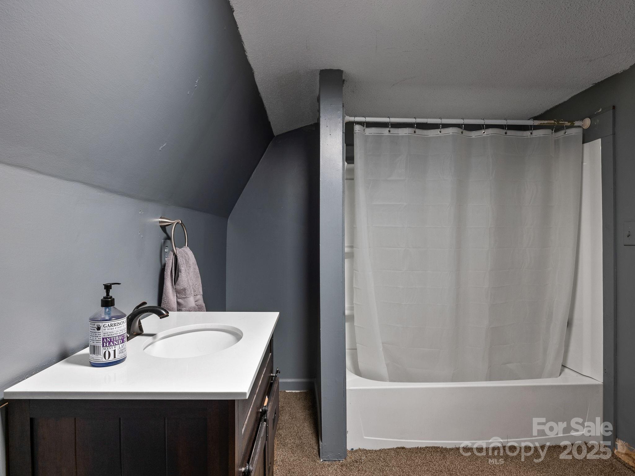 1933 John Shehan Road Mill Spring, NC 28756 - Photo 22 of 25 a bathroom with a sink and a mirror