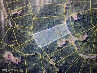 a bird of water heater room