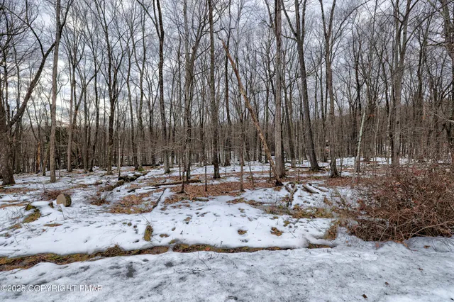 a view of a wooden floor with a lake view