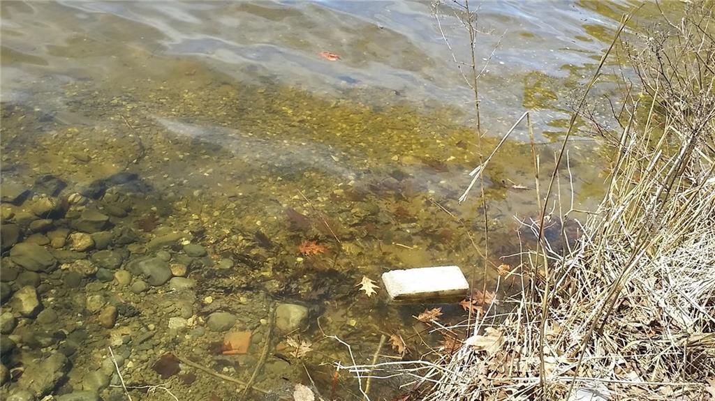 22 F F Sanborn Road Sabattus, ME 04280 - Photo 6 of 17 Photo