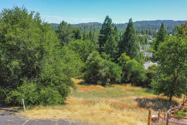 a view of a yard with a tree