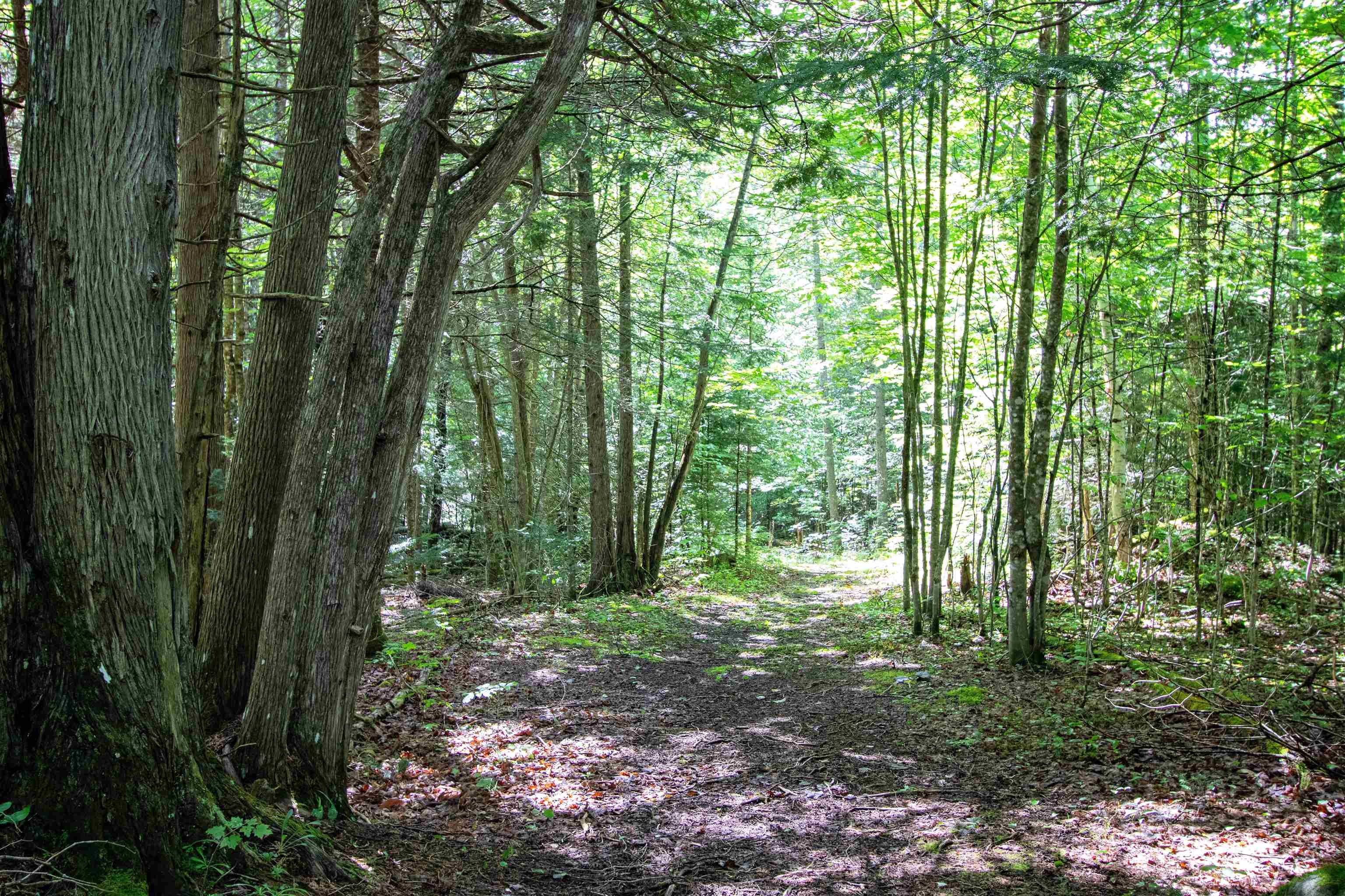 3147 Keiser Pond Road Danville, VT 05873 - Photo 51 of 58