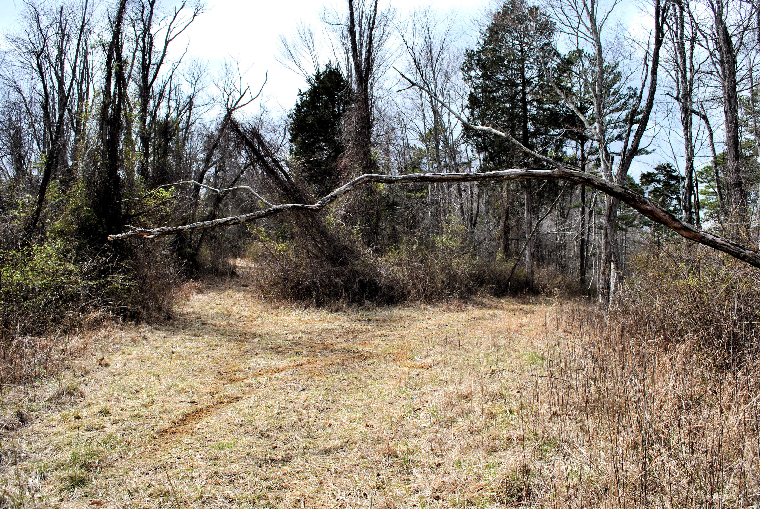 0 Union Valley Road Riner, VA 24149 - Photo 28 of 30 a backyard of a house with lots of green space