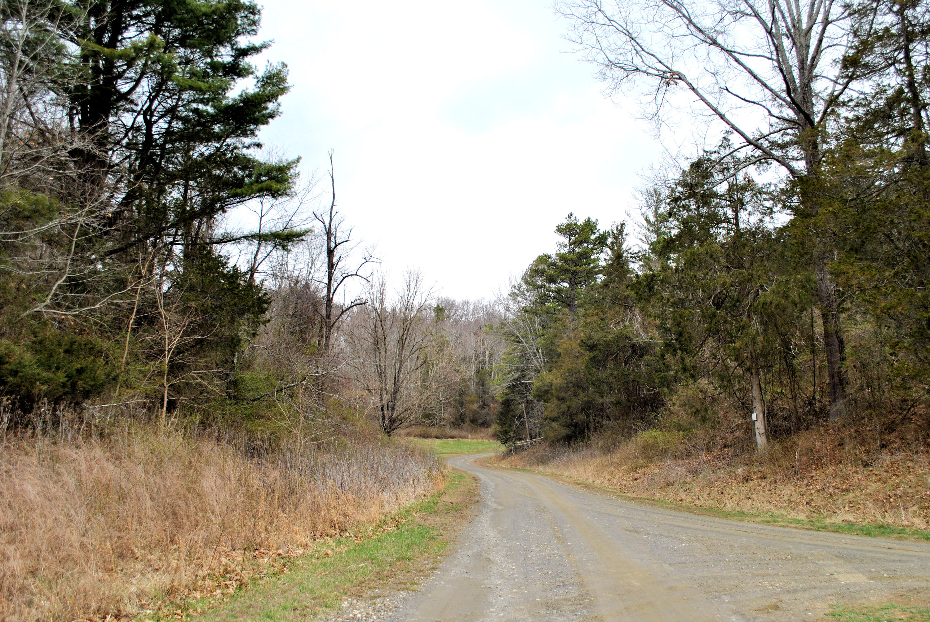0 Union Valley Road Riner, VA 24149 - Photo 5 of 30 a view of a dry yard with trees