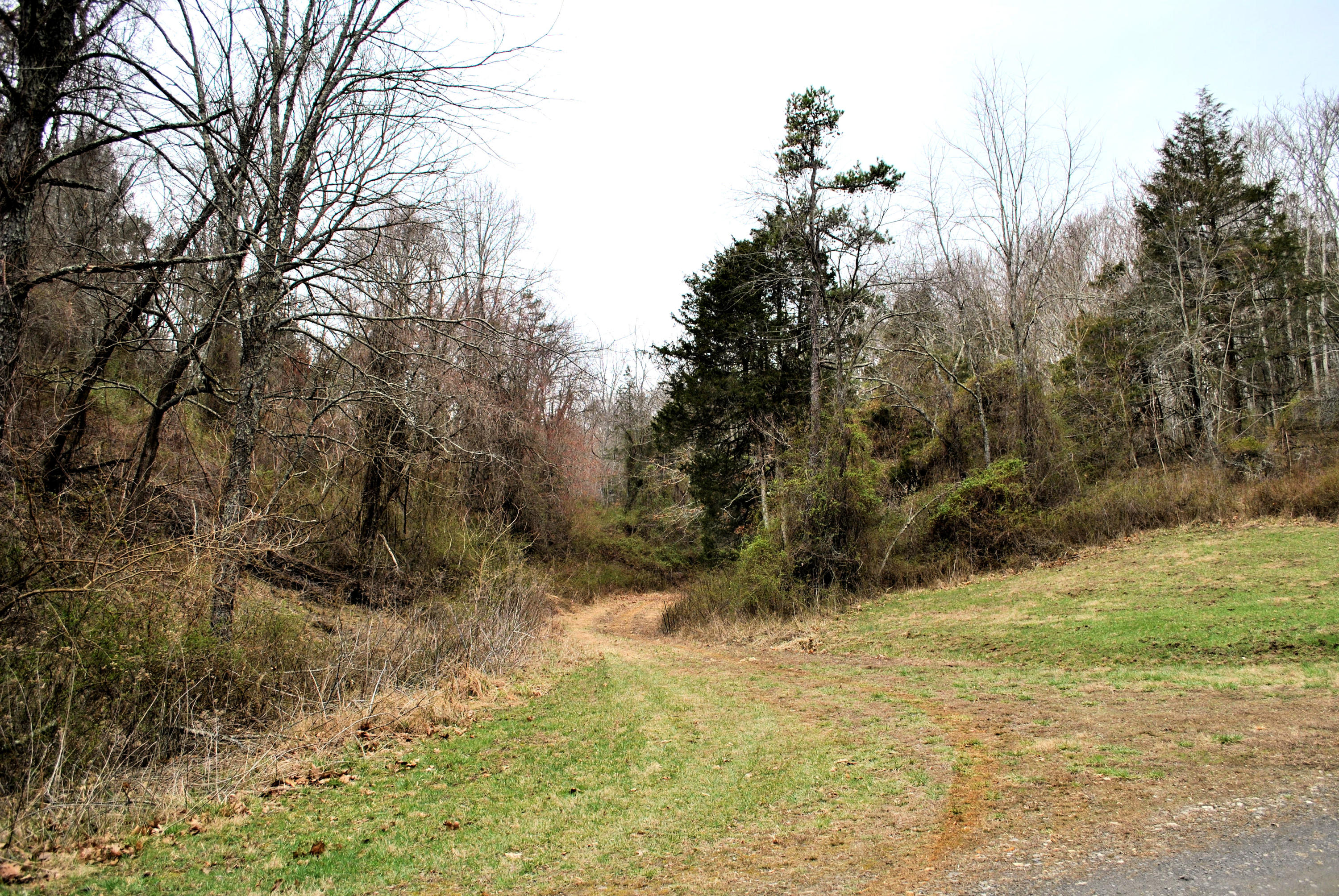 0 Union Valley Road Riner, VA 24149 - Photo 7 of 30 a view of a yard with a tree