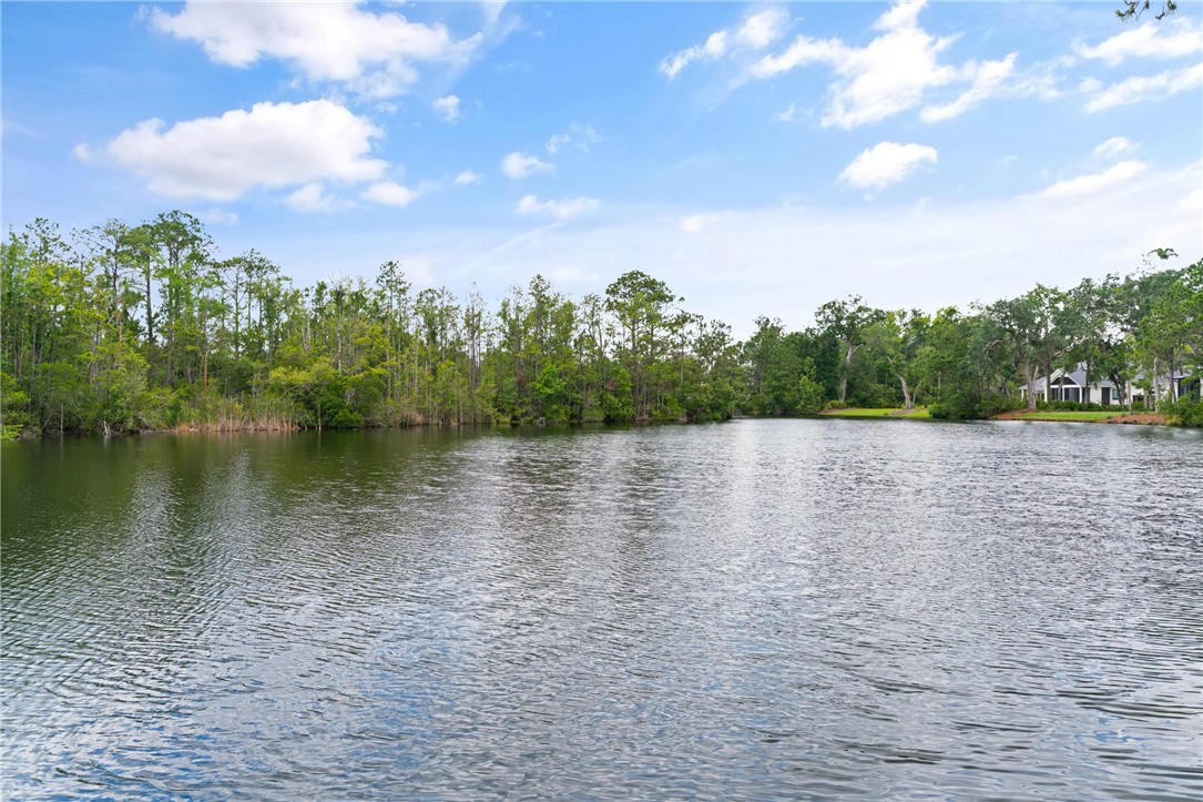 337 Lake Stillwater Drive St. Simons Island, GA 31522 - Photo 46 of 51 view of the lake from the back yard