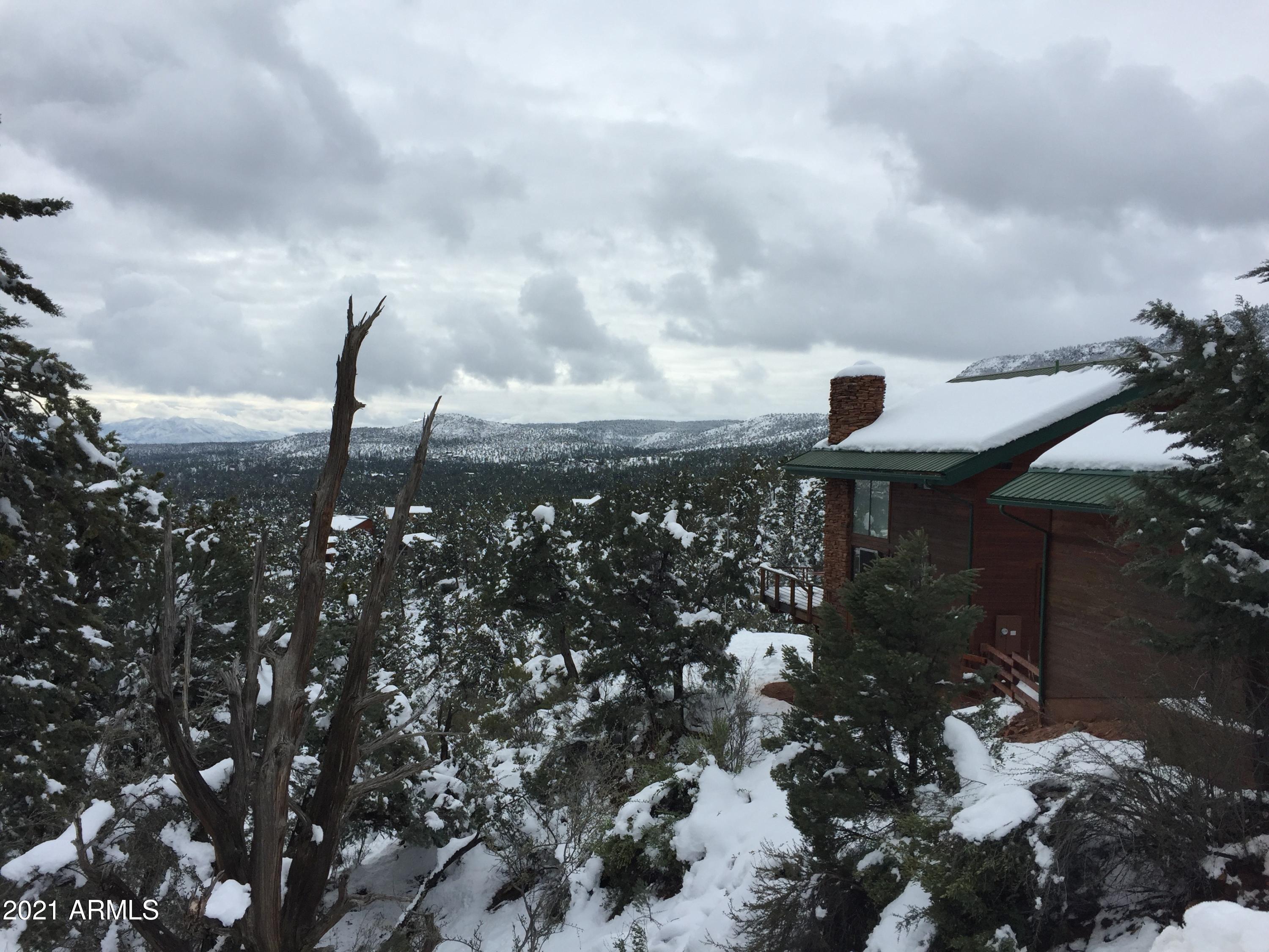 6442 West Ruin Hill Loop Pine, AZ 85544 - Photo 12 of 54 SnowySideView