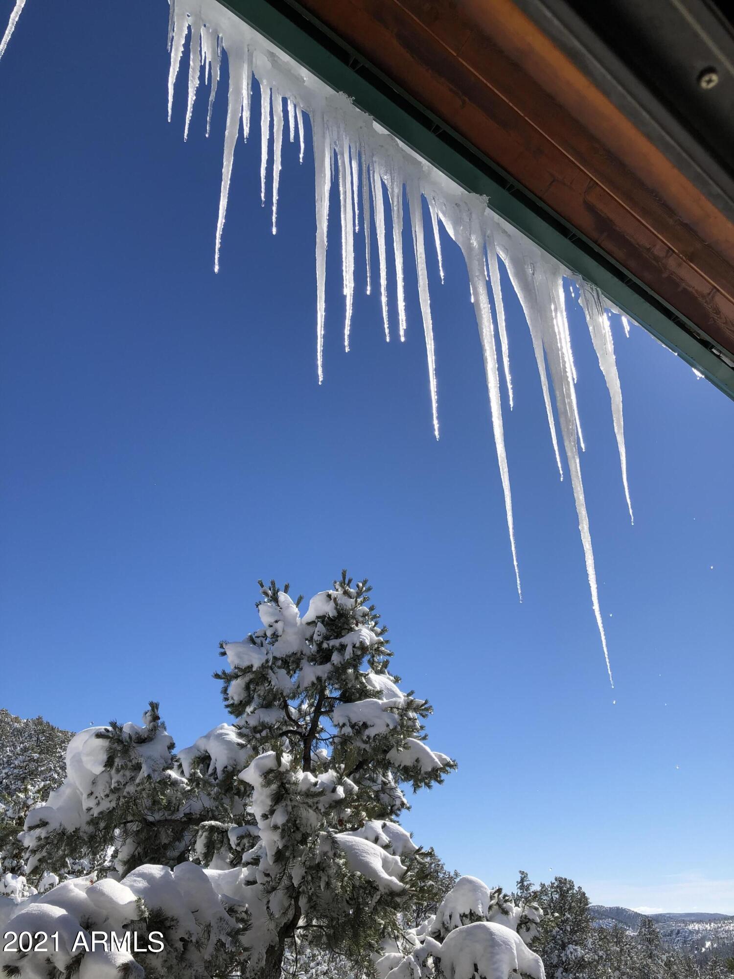 6442 West Ruin Hill Loop Pine, AZ 85544 - Photo 14 of 54 Ice