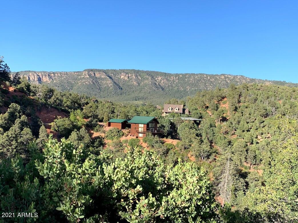 6442 West Ruin Hill Loop Pine, AZ 85544 - Photo 4 of 54 ViewFromTheWest