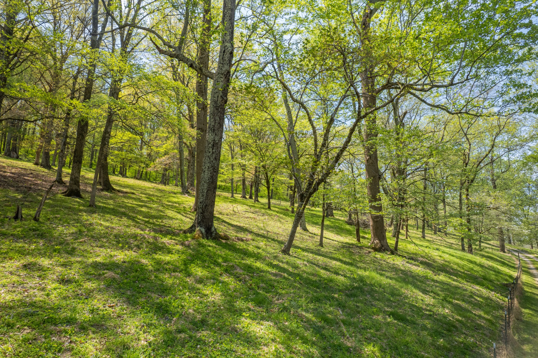 8039 Campbellsville Road Pulaski, TN 38478 - Photo 78 of 100