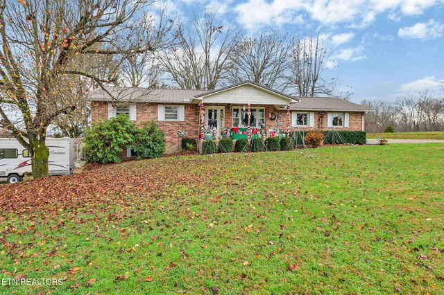 a white house that has a tree in front of it