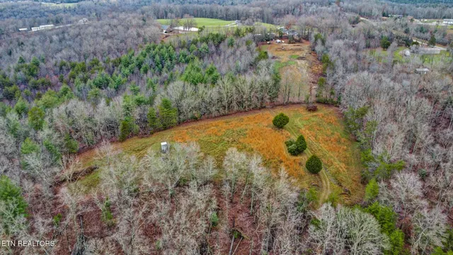 $595,500 | 2620 Deer Lodge Highway, Deer Lodge, TN 37726