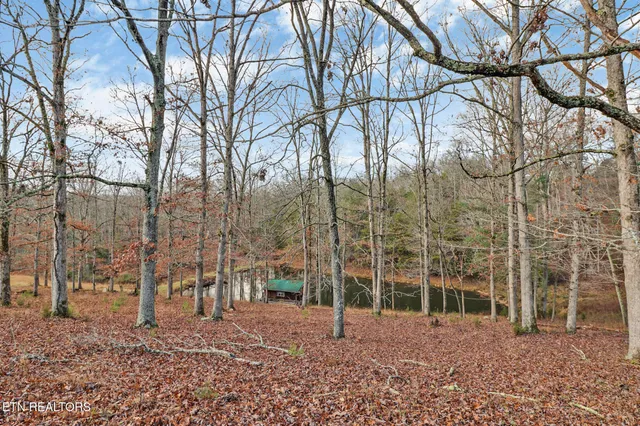 $595,500 | 2620 Deer Lodge Highway, Deer Lodge, TN 37726
