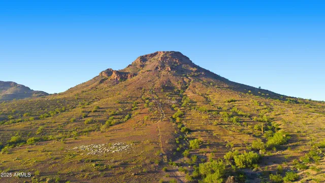 a front view of a house with a garden and patio