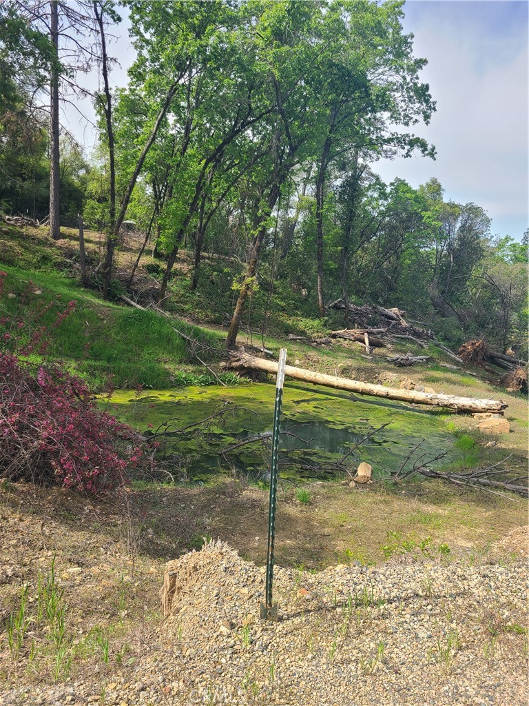 15811 Vierra Road Rackerby, CA 95972 - Photo 6 of 7