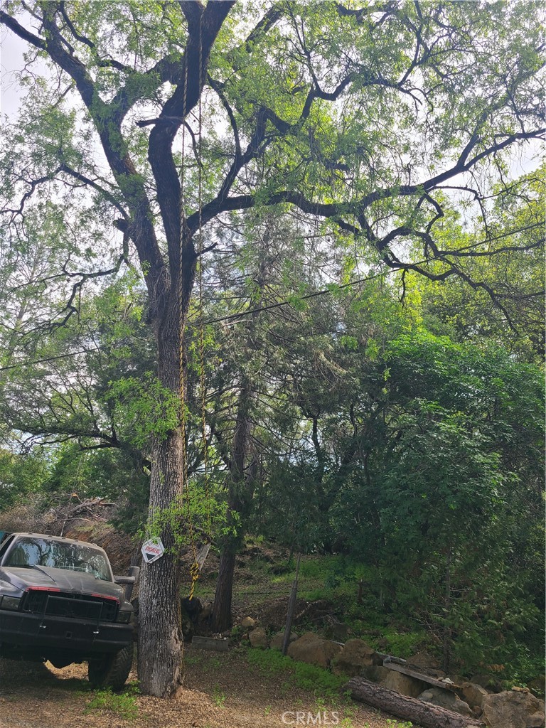 15811 Vierra Road Rackerby, CA 95972 - Photo 7 of 7