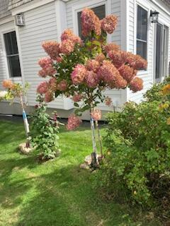 27 Nubble Road York, ME 03909 - Photo 60 of 67 60