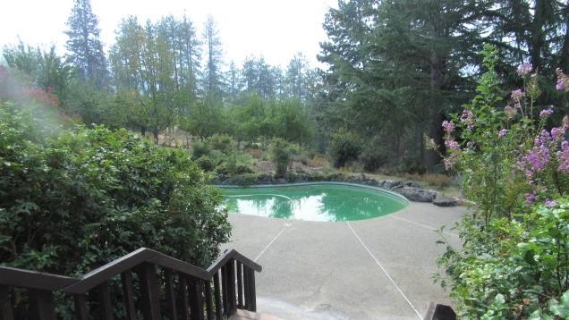7140 Rapp Lane Talent, OR 97540 - Photo 23 of 25 Pool