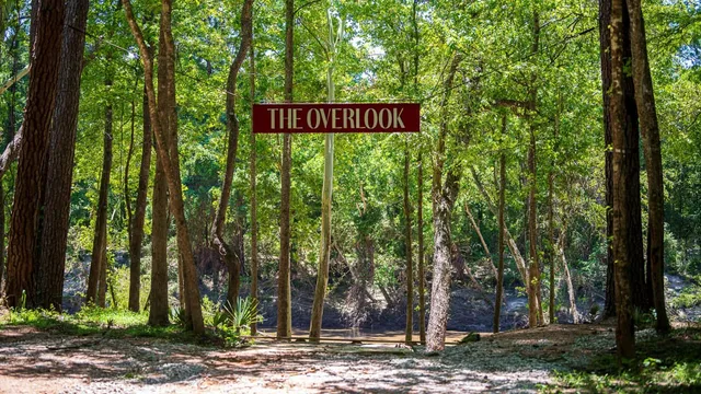 a sign that is sitting in front of a tree