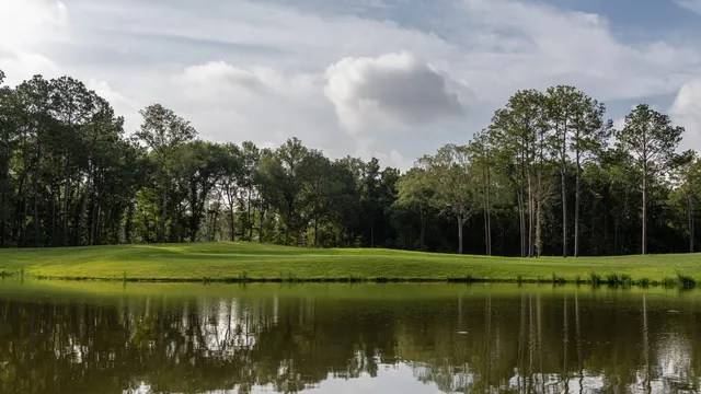 a view of a golf course with a lake view