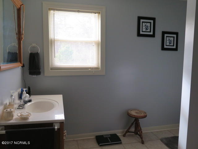 1324 Panhandle Road Faison, NC 28341 - Photo 16 of 19 IMG_1979