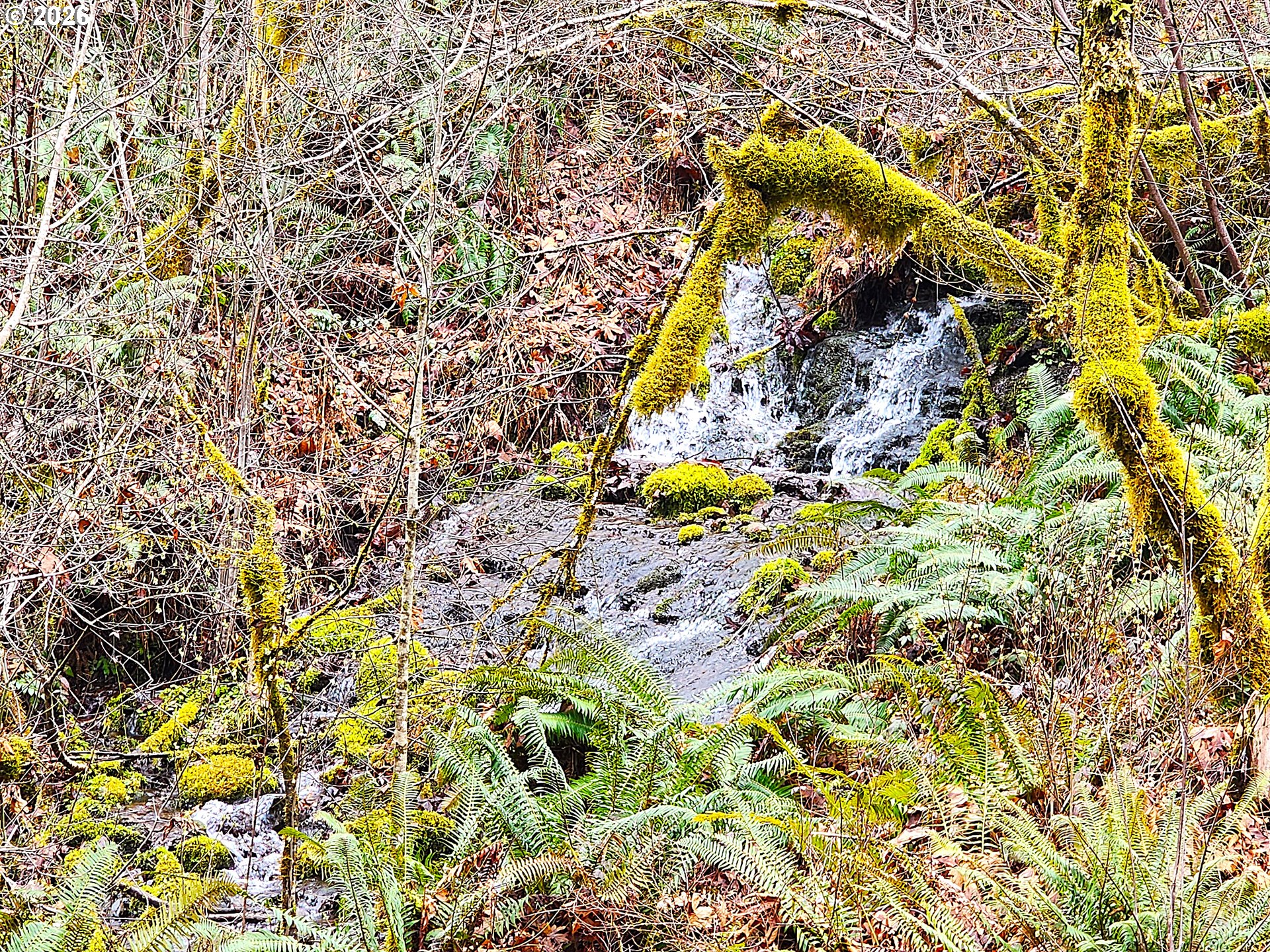 East King Road East Blue River, OR 97413 - Photo 2 of 10