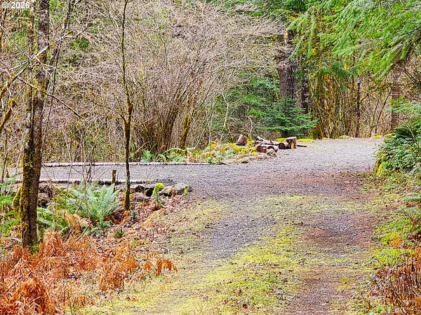 $250,000 | East King Road East, Blue River, OR 97413