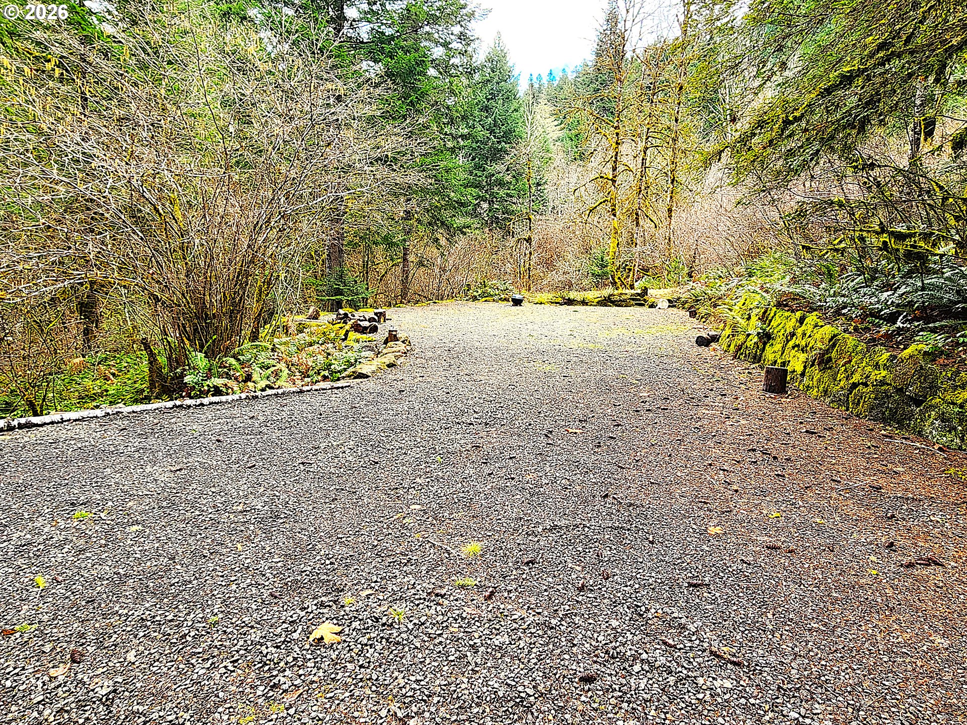 East King Road East Blue River, OR 97413 - Photo 4 of 10