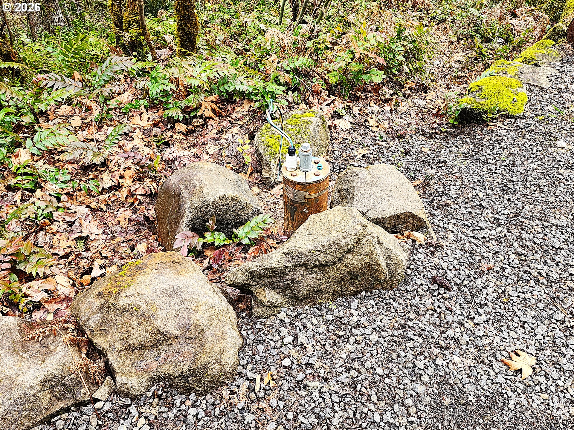 East King Road East Blue River, OR 97413 - Photo 5 of 10