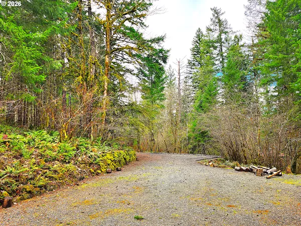$250,000 | East King Road East, Blue River, OR 97413