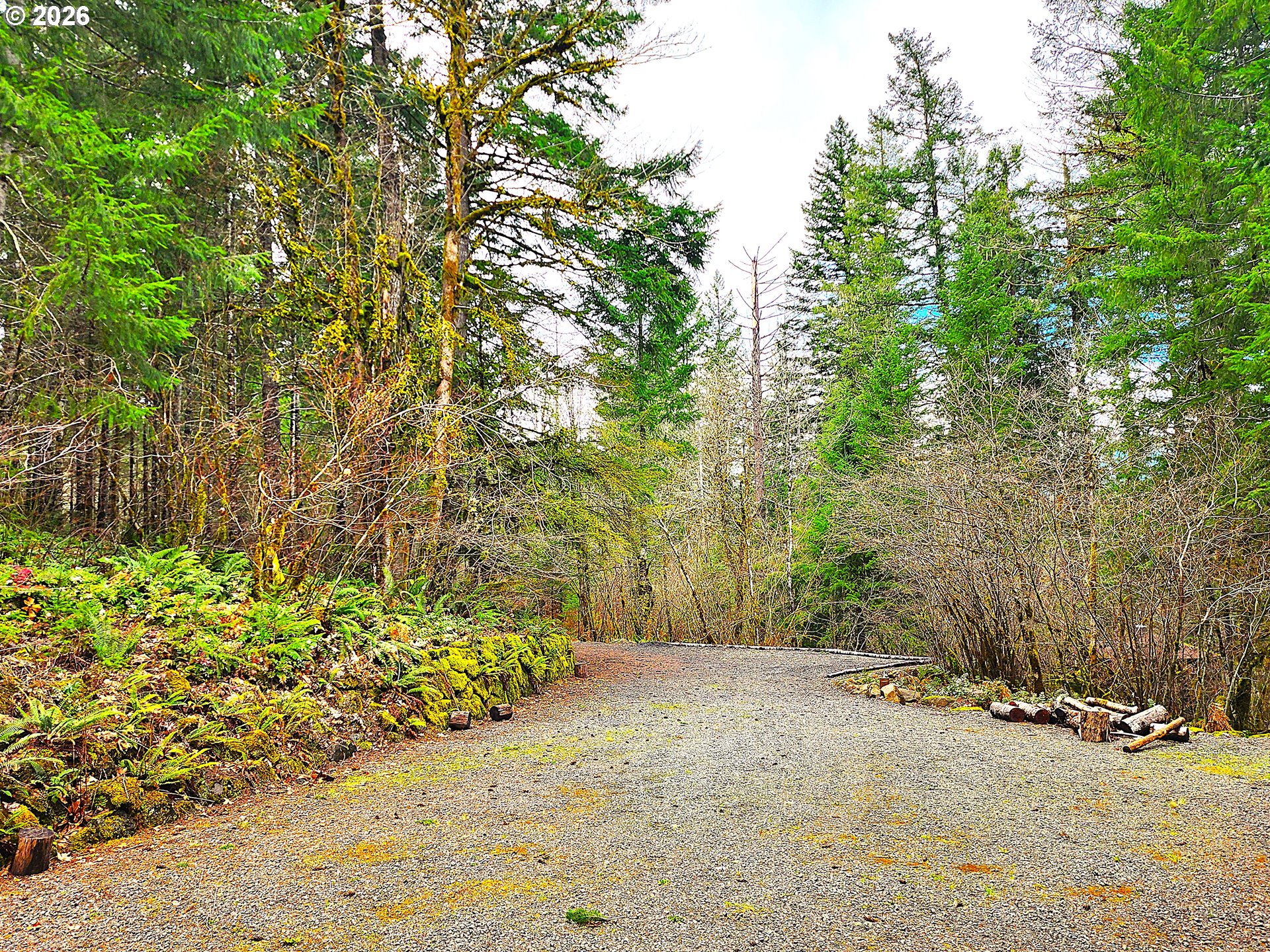 East King Road East Blue River, OR 97413 - Photo 6 of 10