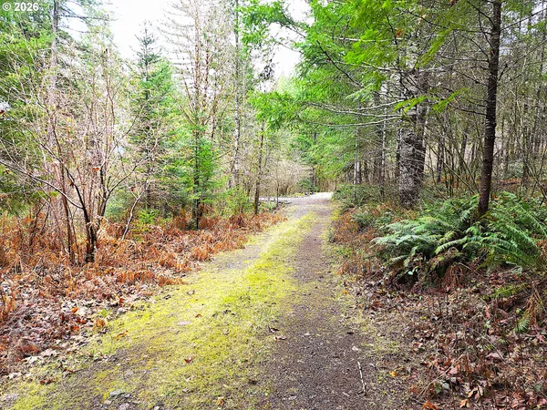 $250,000 | East King Road East, Blue River, OR 97413