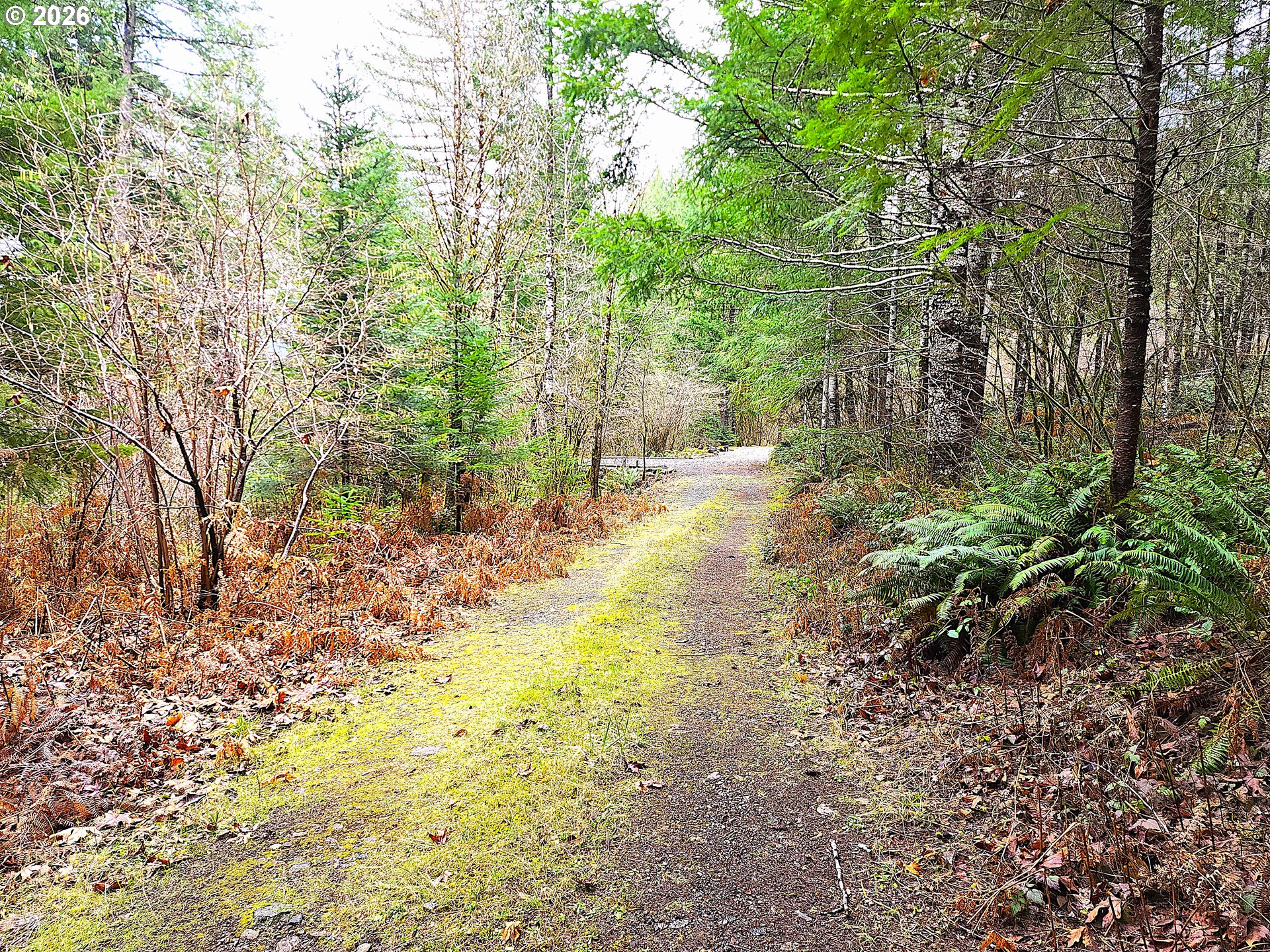 East King Road East Blue River, OR 97413 - Photo 7 of 10