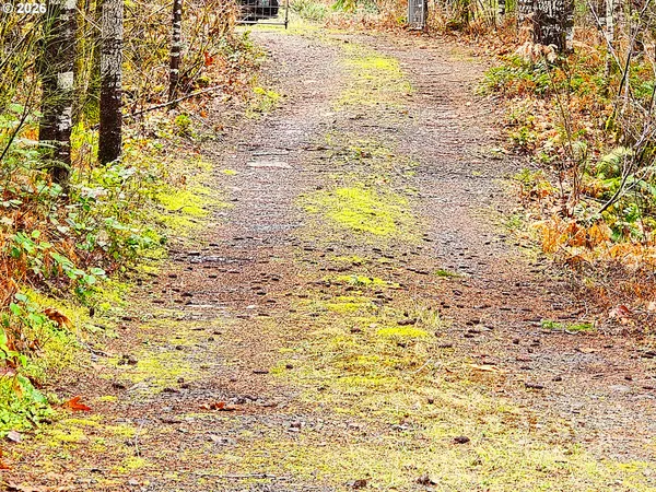 $250,000 | East King Road East, Blue River, OR 97413