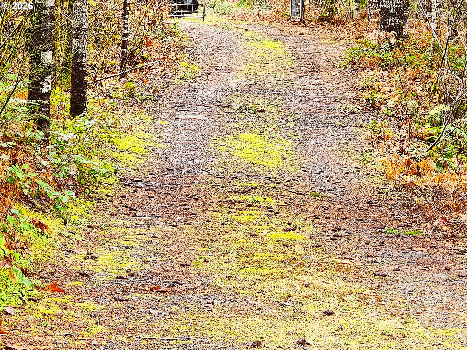 East King Road East Blue River, OR 97413 - Photo 8 of 10