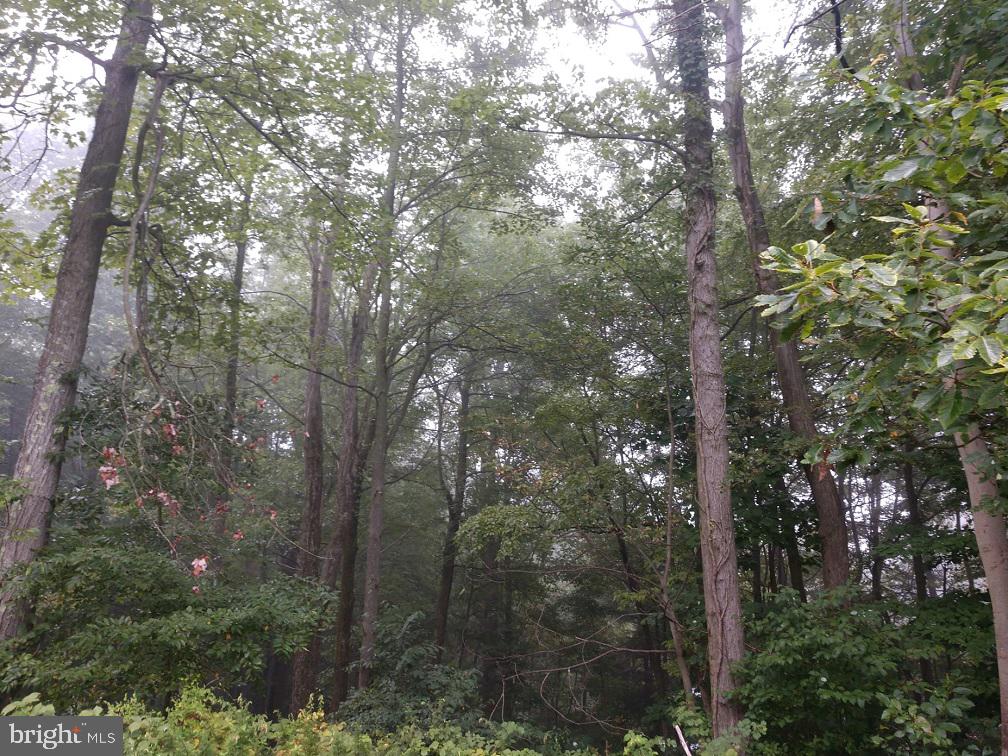 2215 Iron Springs Road Fairfield, PA 17320 - Photo 4 of 11 WOODED ACREAGE