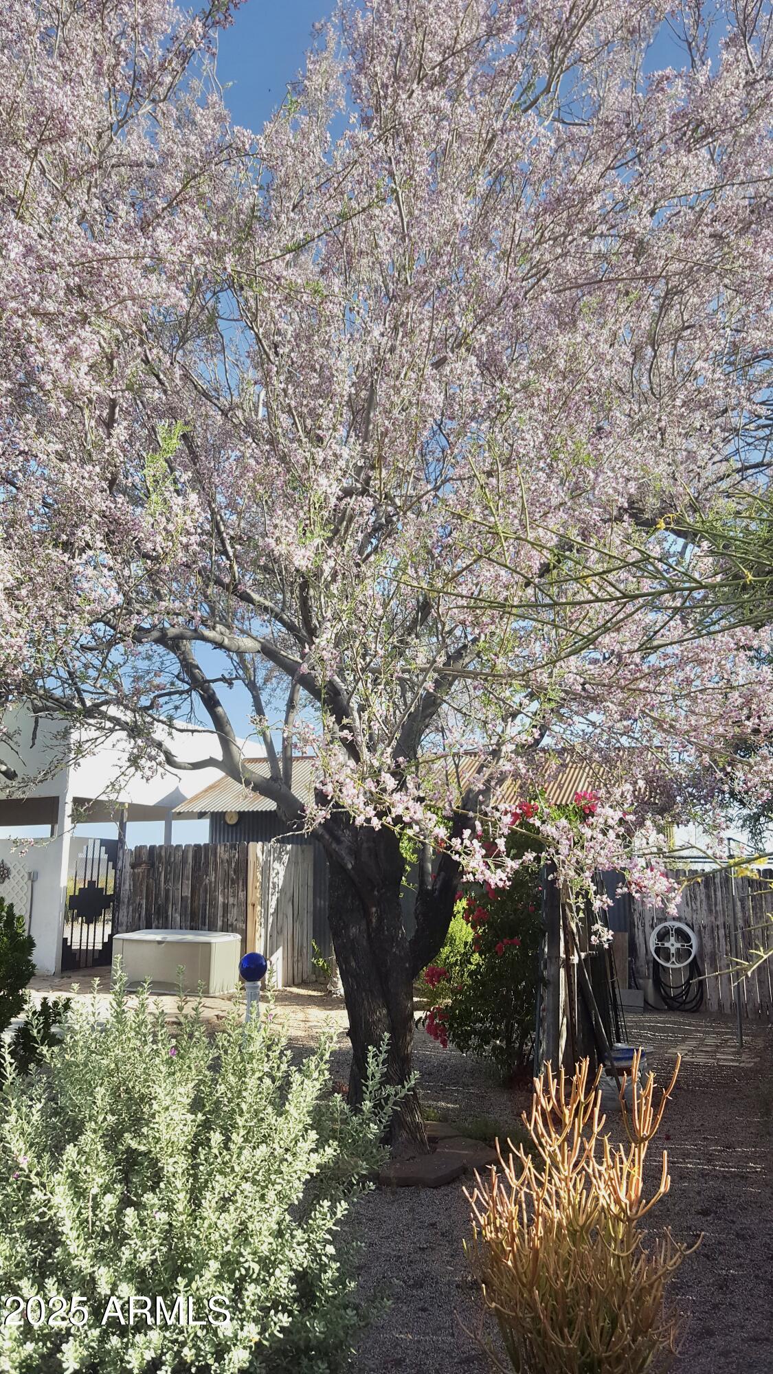 2860 North Elliott Road Ajo, AZ 85321 - Photo 24 of 35