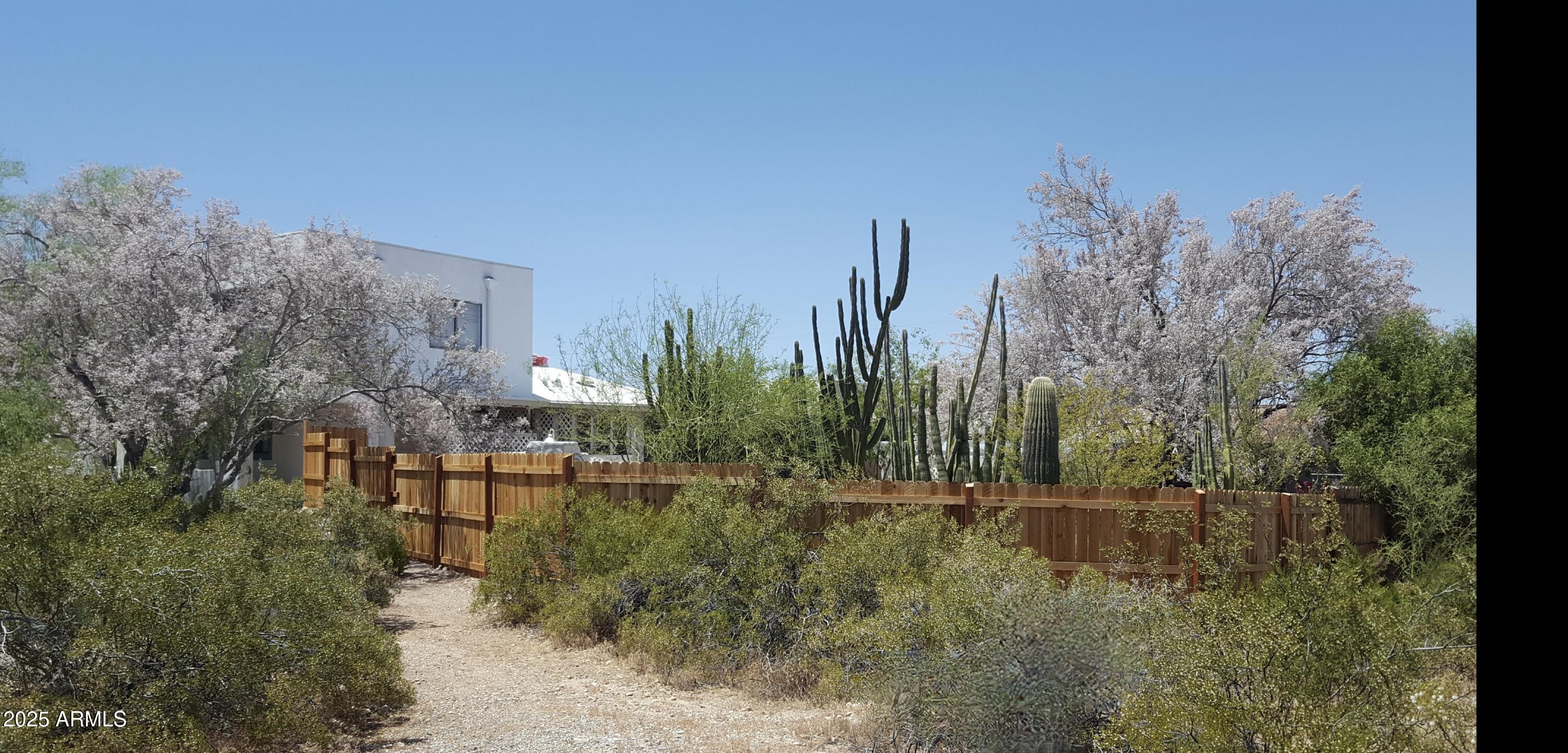 2860 North Elliott Road Ajo, AZ 85321 - Photo 26 of 35 a view of outdoor space and yard