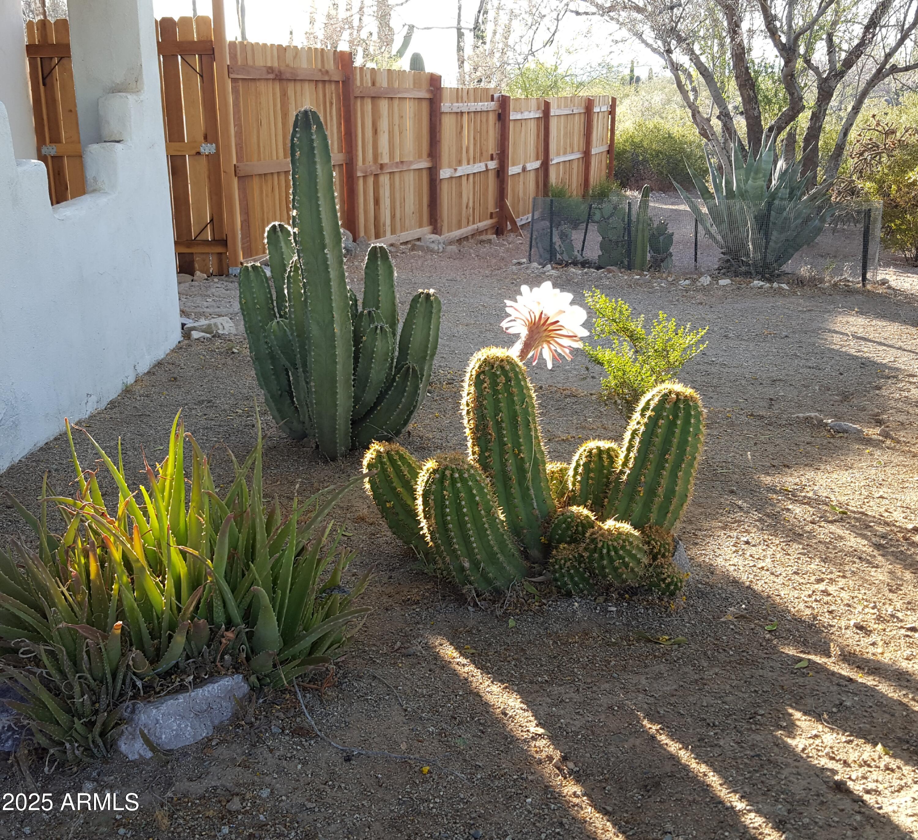 2860 North Elliott Road Ajo, AZ 85321 - Photo 31 of 35 a view of a chairs in patio