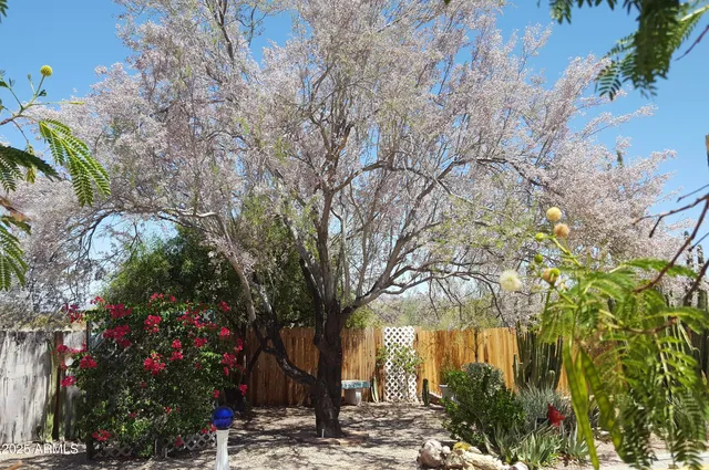 $298,000 | 2860 North Elliott Road, Ajo, AZ 85321