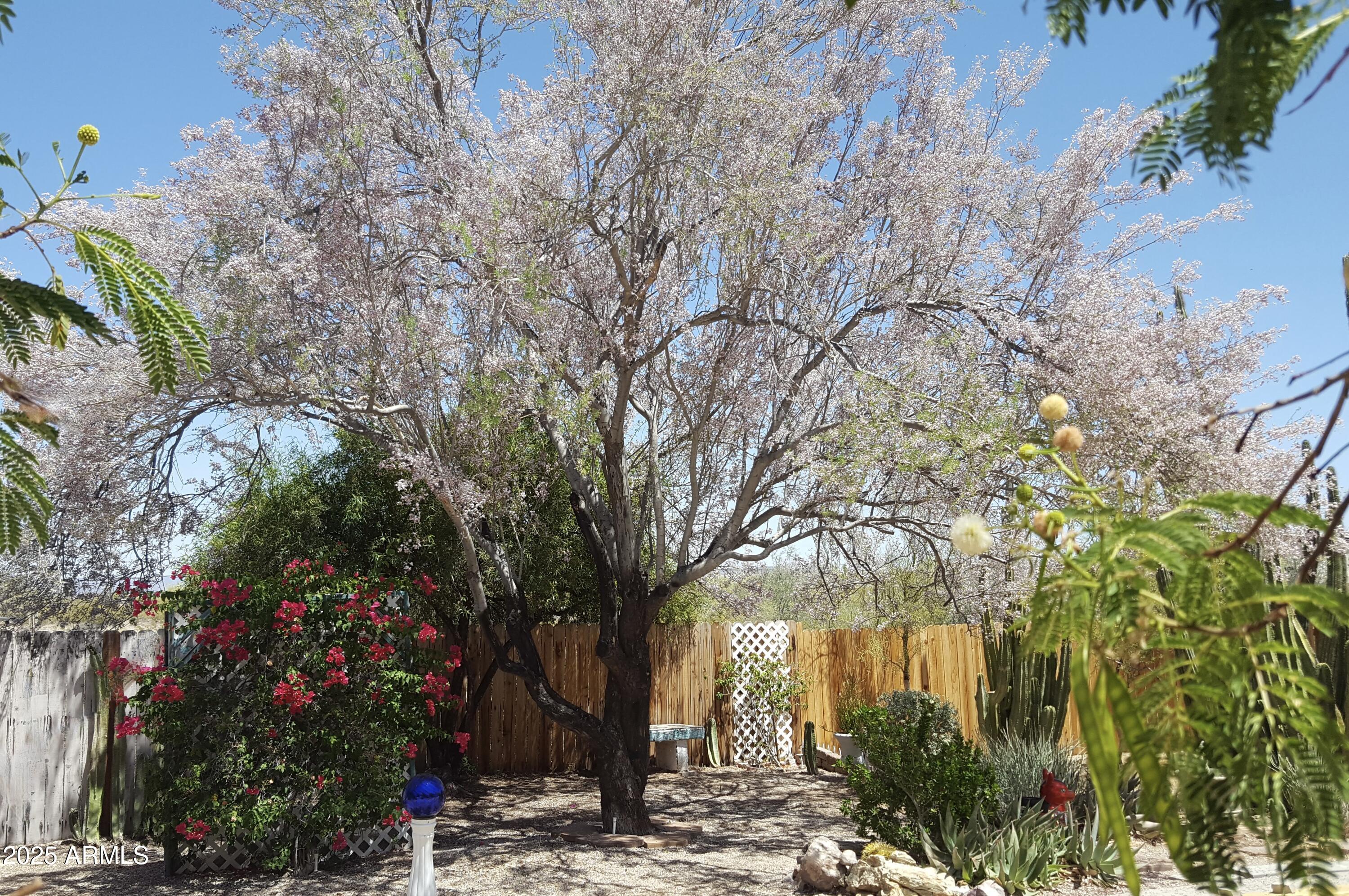 2860 North Elliott Road Ajo, AZ 85321 - Photo 34 of 35 a backyard of a house with lots of green space