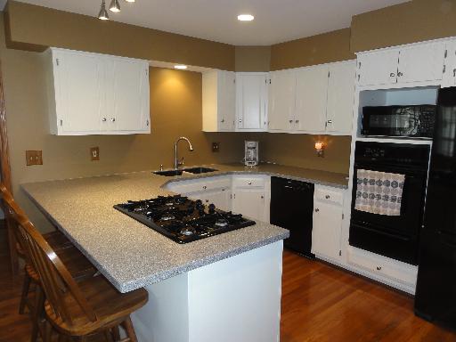 533 San Carlos Road Minooka, IL 60447 - Photo 3 of 16