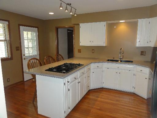 533 San Carlos Road Minooka, IL 60447 - Photo 5 of 16