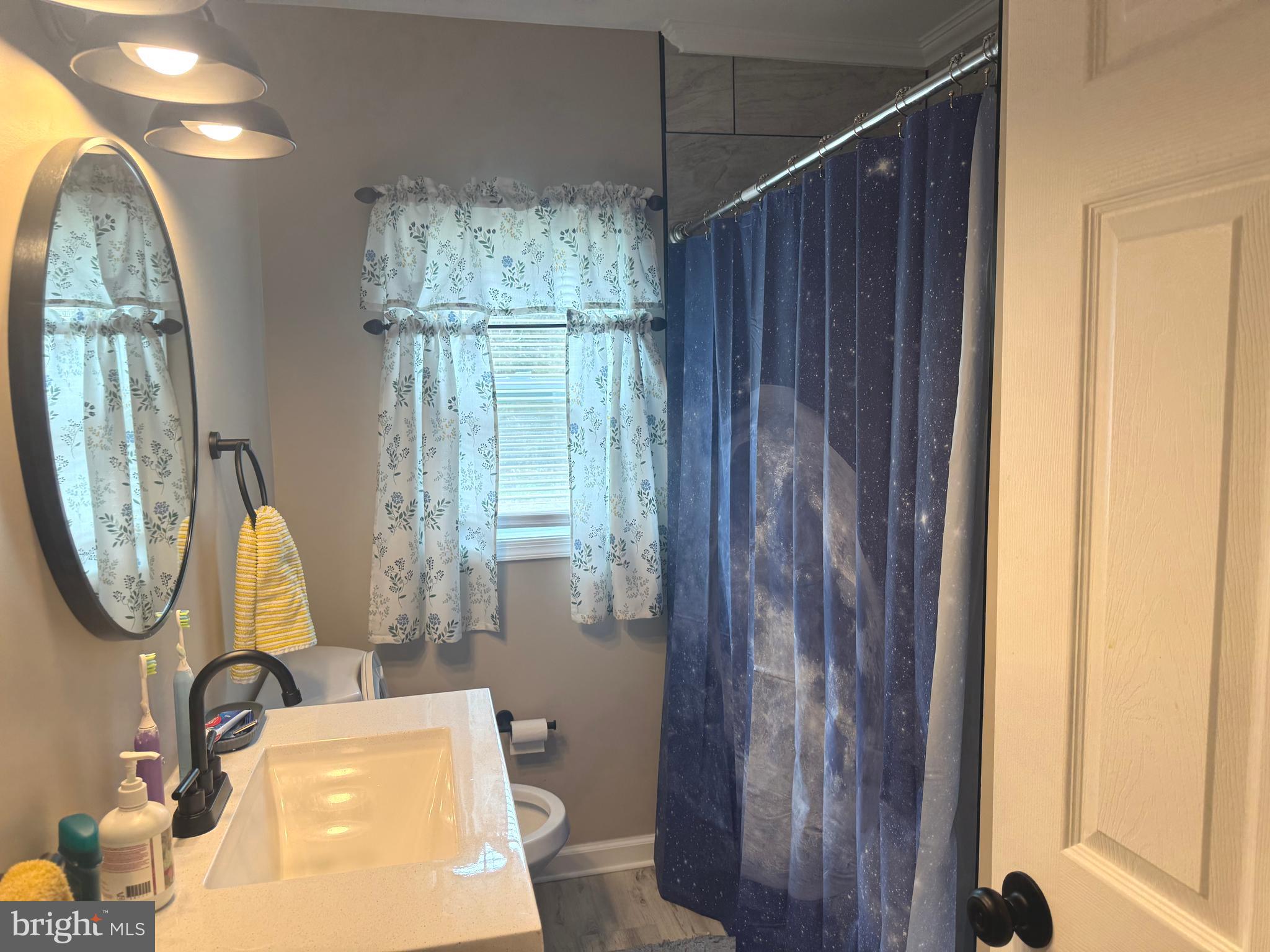 32201 Johnson Road Salisbury, MD 21804 - Photo 28 of 50 a bathroom with a toilet a sink and a mirror