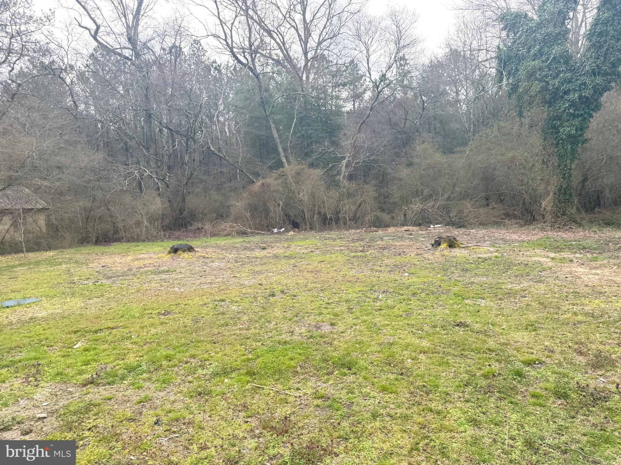 32201 Johnson Road Salisbury, MD 21804 - Photo 42 of 50 a view of a pool with a yard