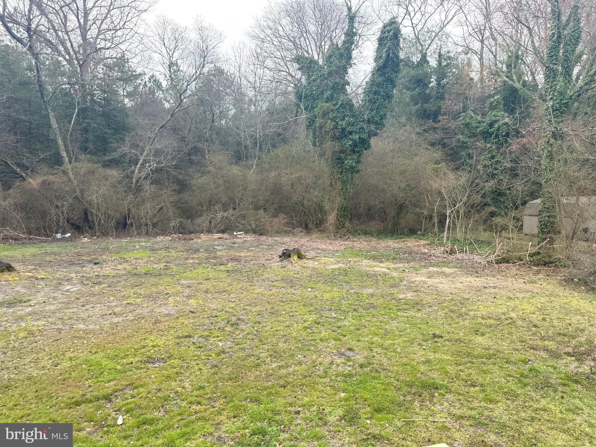 32201 Johnson Road Salisbury, MD 21804 - Photo 44 of 50