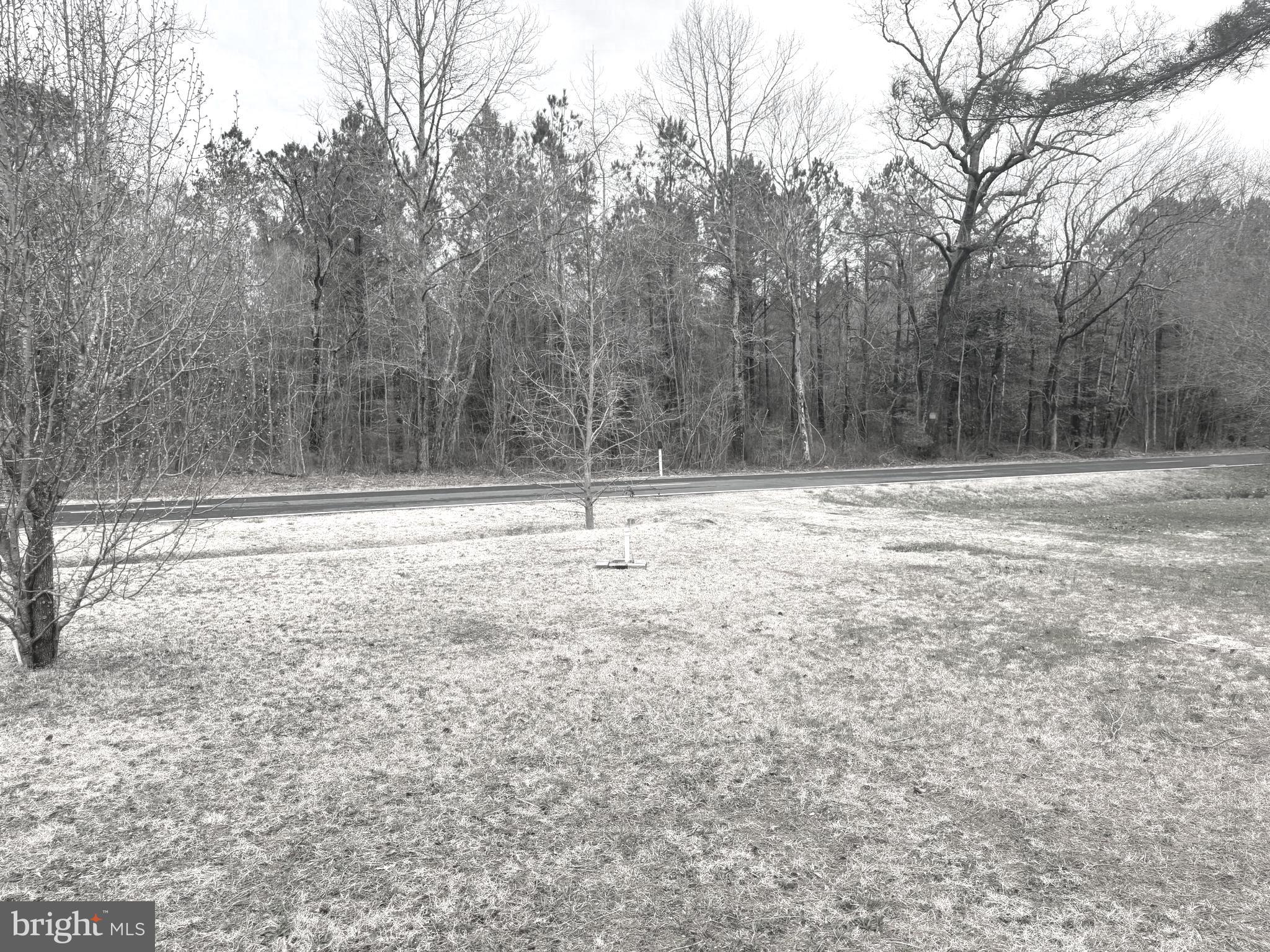 32201 Johnson Road Salisbury, MD 21804 - Photo 46 of 50 a view of side view of yard