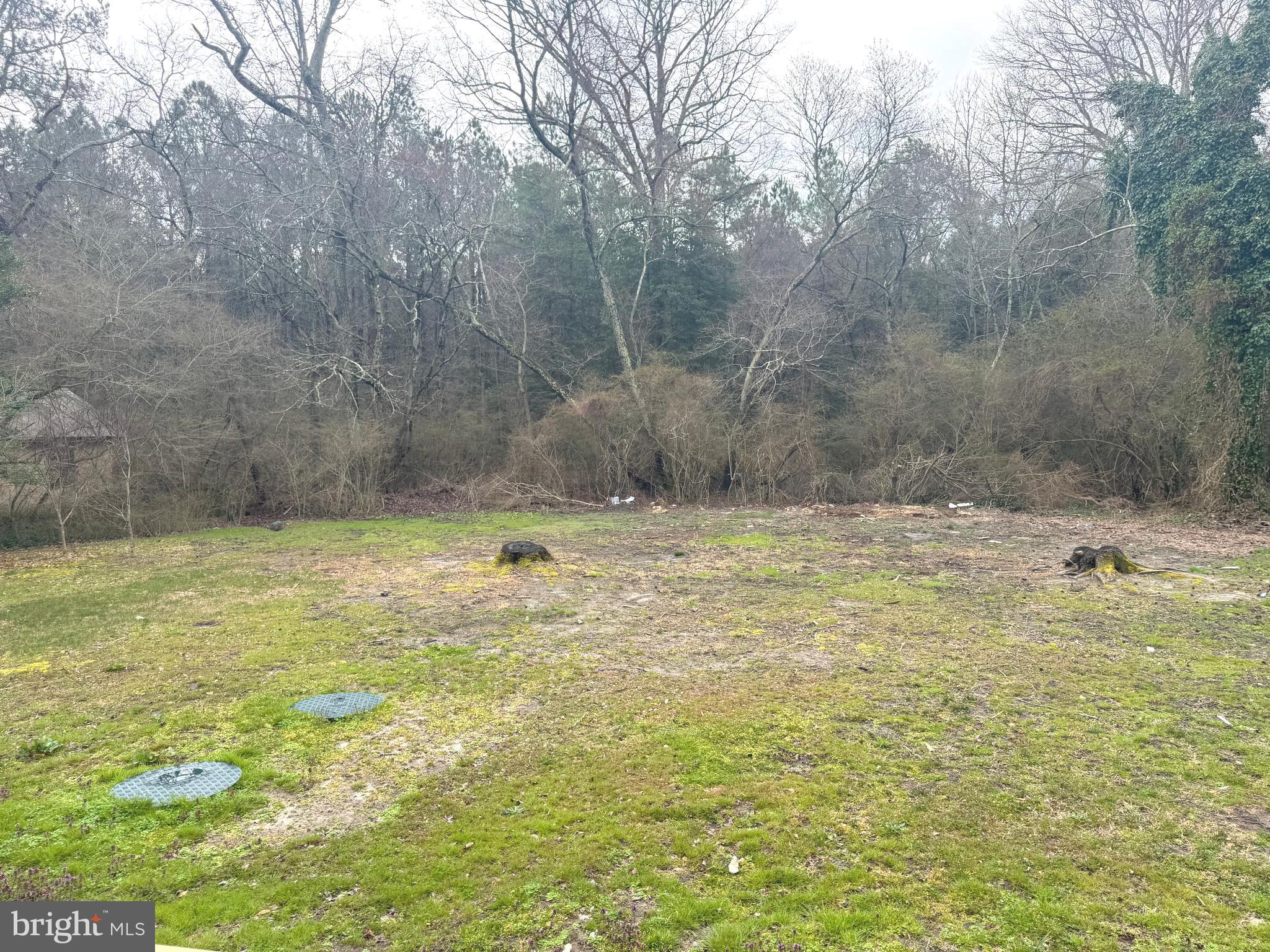 32201 Johnson Road Salisbury, MD 21804 - Photo 47 of 50 a view of a outdoor space with swimming pool