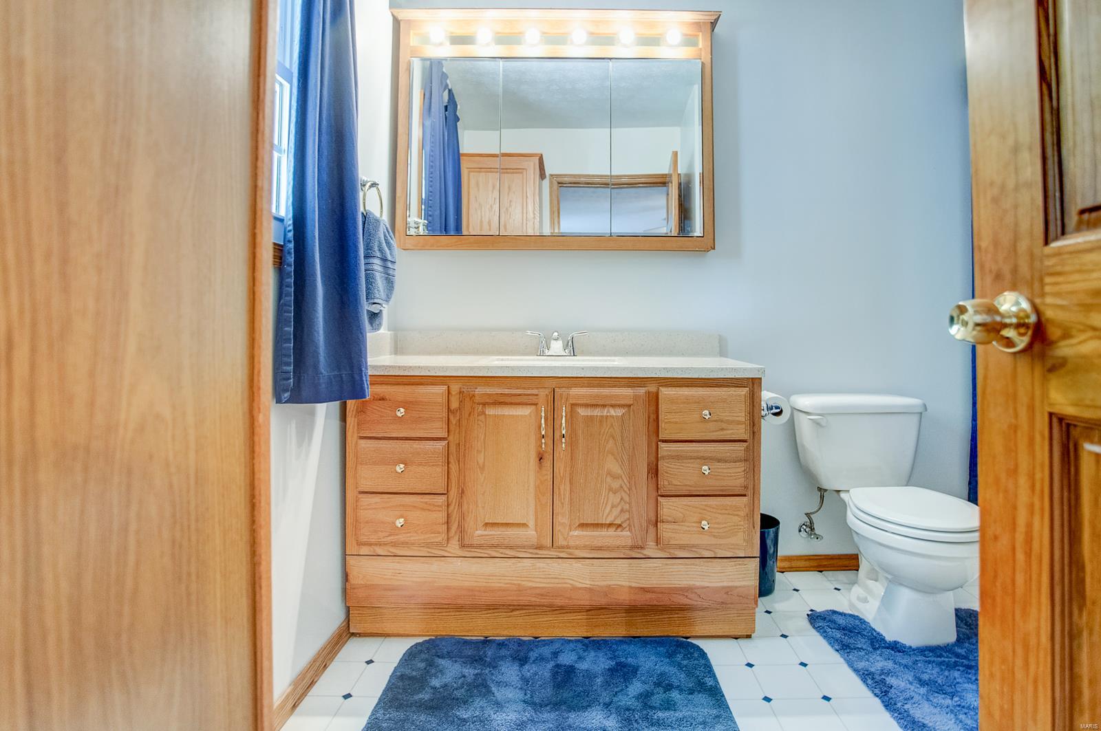 3305 Mill Springs Road Belleville, IL 62221 - Photo 22 of 32 Gallery Image 22
